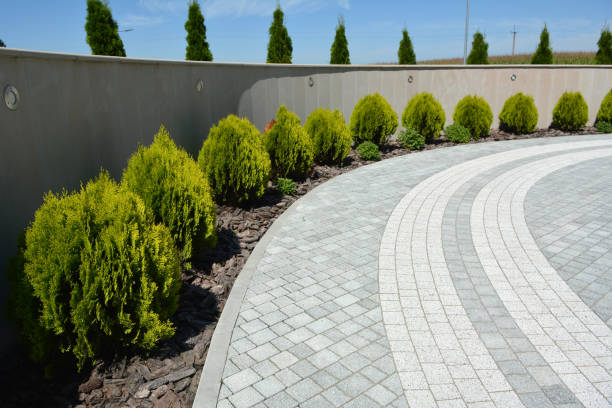 Best Brick Driveway Pavers  in Woodland, WA